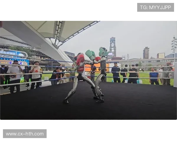 自由搏击解说风格创新引来大量新观众群体